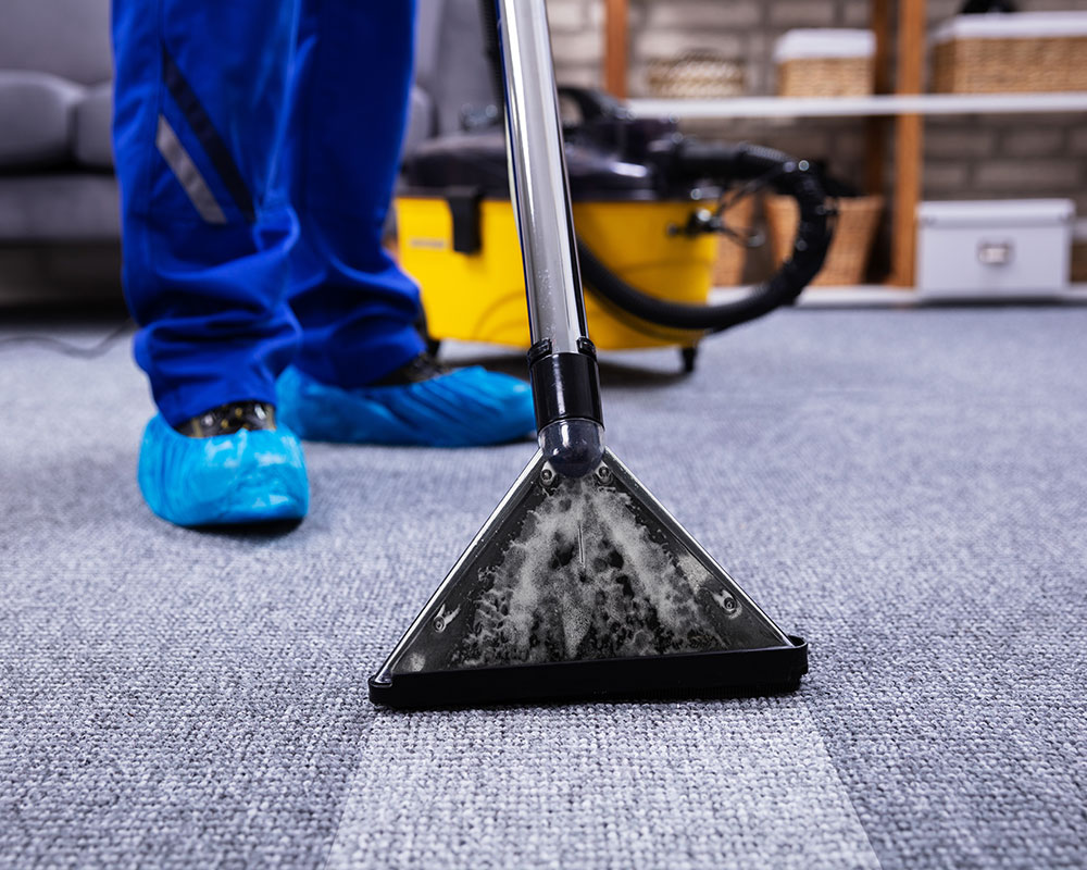 Professional Carpet Cleaning