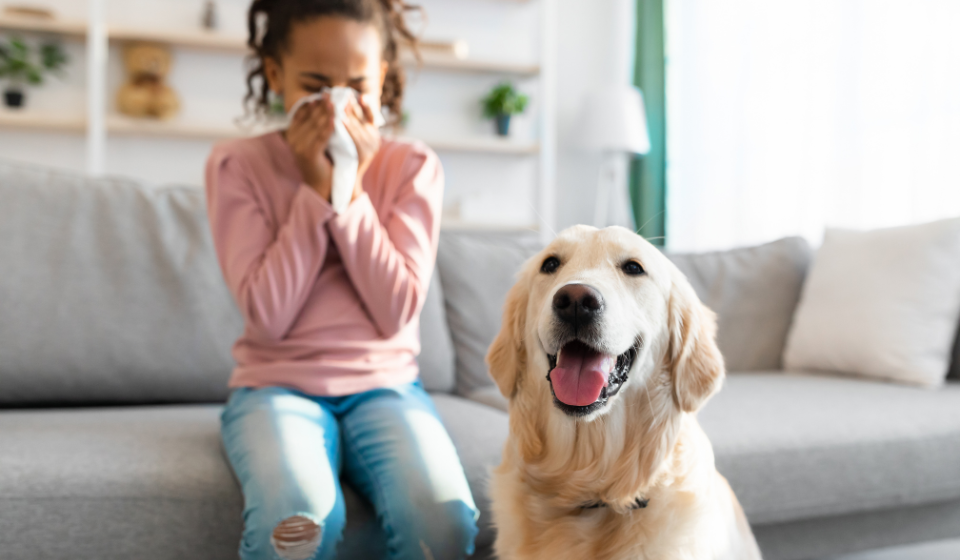 Girl sneezing due to poor indoor air quality