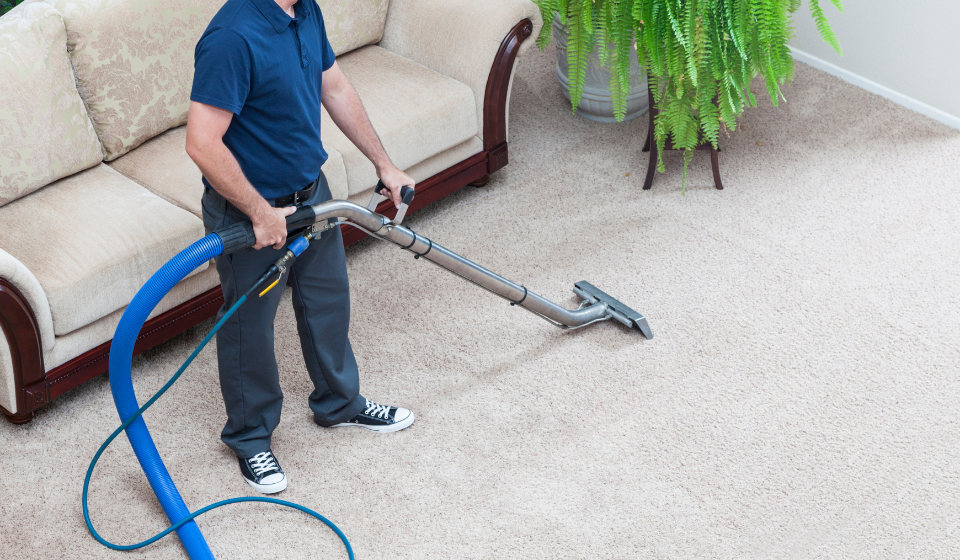 Deep cleaning carpet maintenance