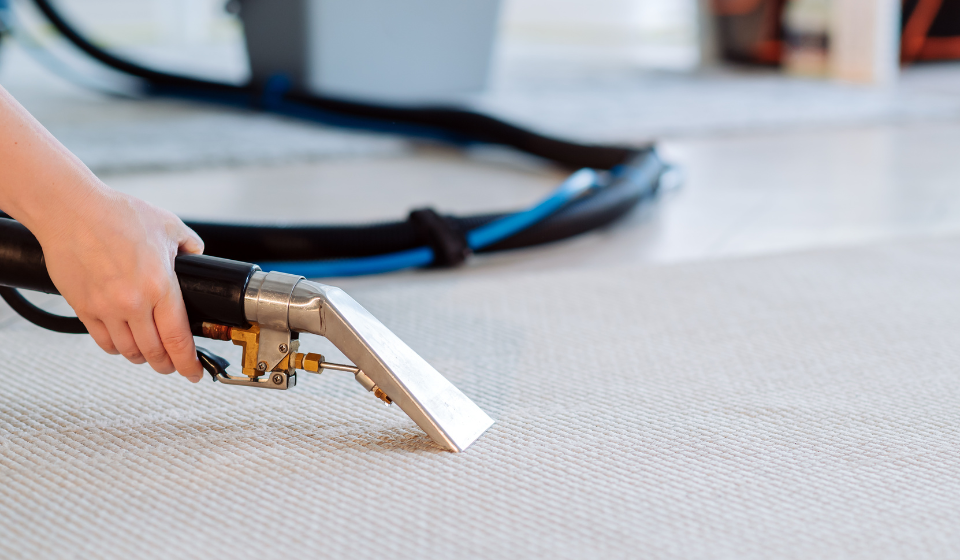 Removing carpet stains with professional cleaning